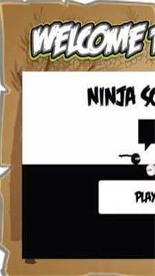 NinjaSchool