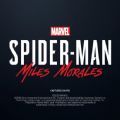 迈尔斯蜘蛛侠