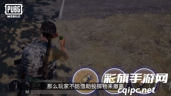 刺激战场国际服