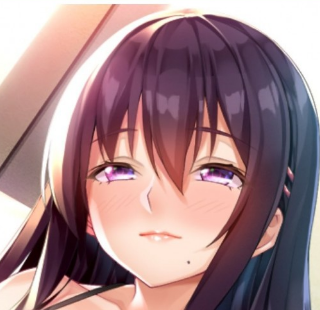 请停手吧姐姐大人