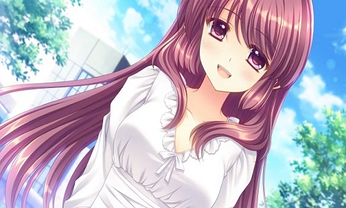 雷电将军的惩罚汉化版