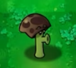 植物大战僵尸无名