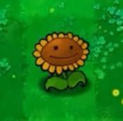 植物大战僵尸无名