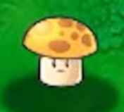 植物大战僵尸无名