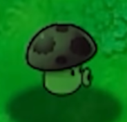 植物大战僵尸无名