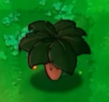 植物大战僵尸无名