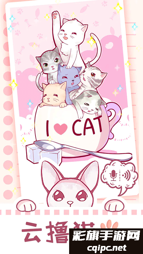 云撸猫咪