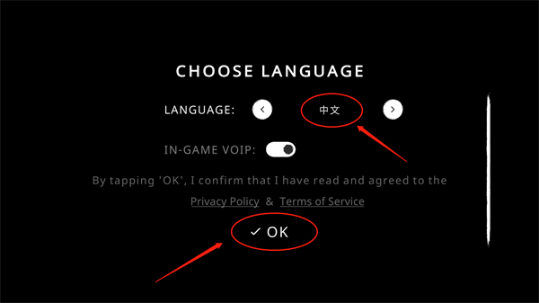 鬼魂theghost联机版