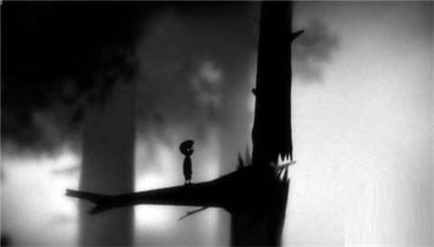 地狱边境2完整版（LIMBO） 第7张图