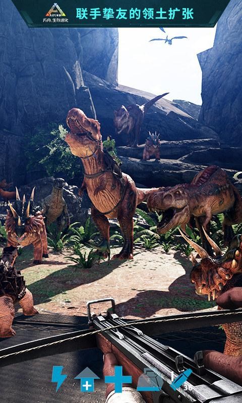 9ceacd10fa94d57cf8485ac4166c228d.jpg DM_20251127120926_003.jpg