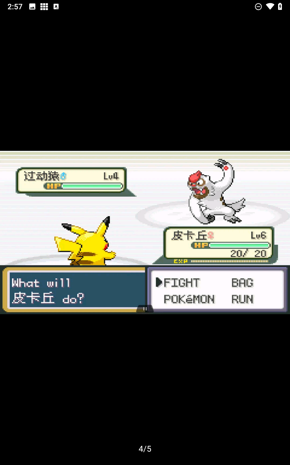 口袋妖怪小智丰缘篇