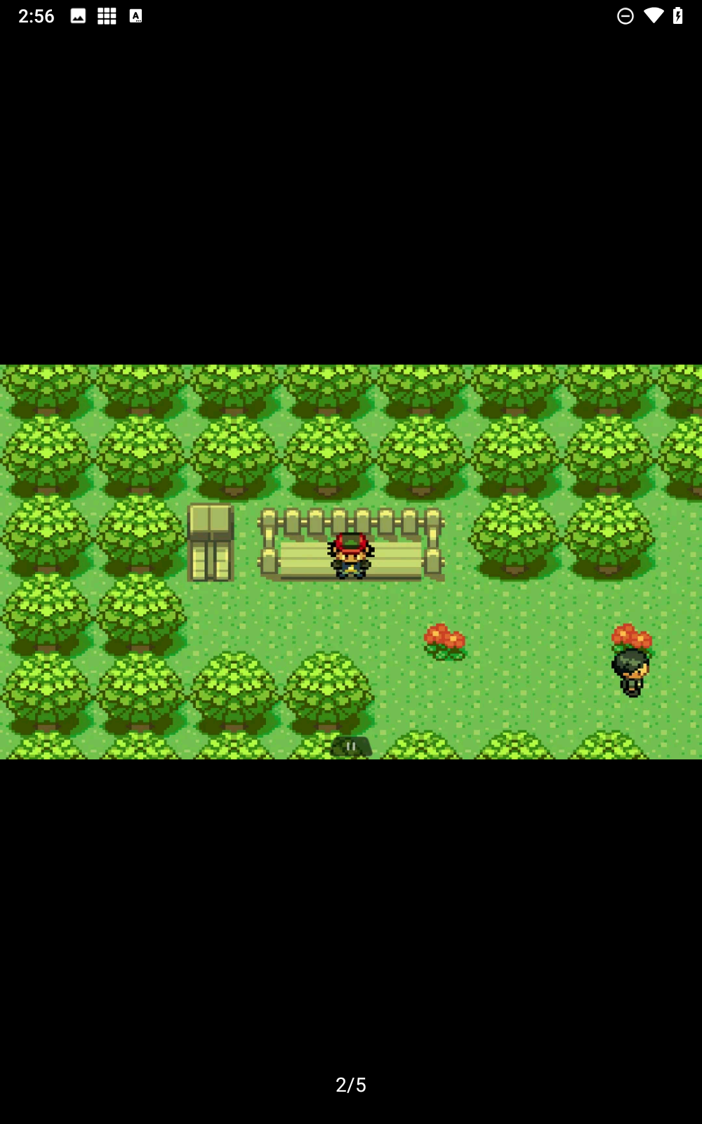 口袋妖怪小智丰缘篇