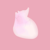 生命人体模拟器