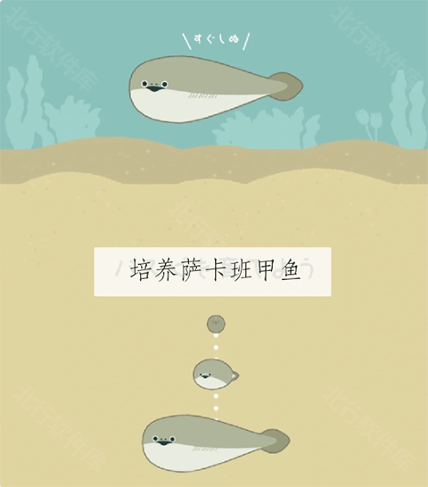 萨卡班甲鱼无广告版