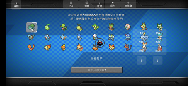 我的世界宝可梦模组