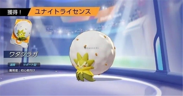 宝可梦大集结国际服