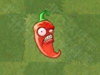 植物大战僵尸亚马逊版