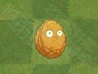 植物大战僵尸亚马逊版