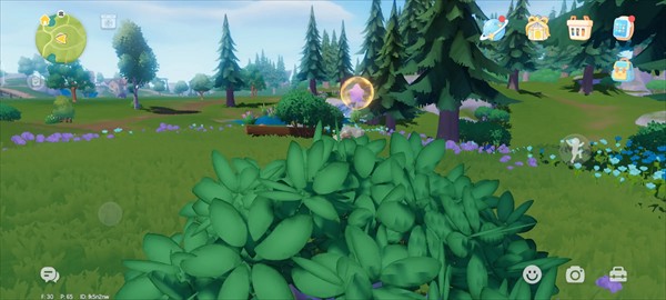 心动小镇官方版