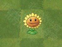 植物大战僵尸亚马逊版