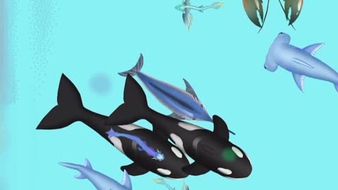 召唤神鲲万宁大招版