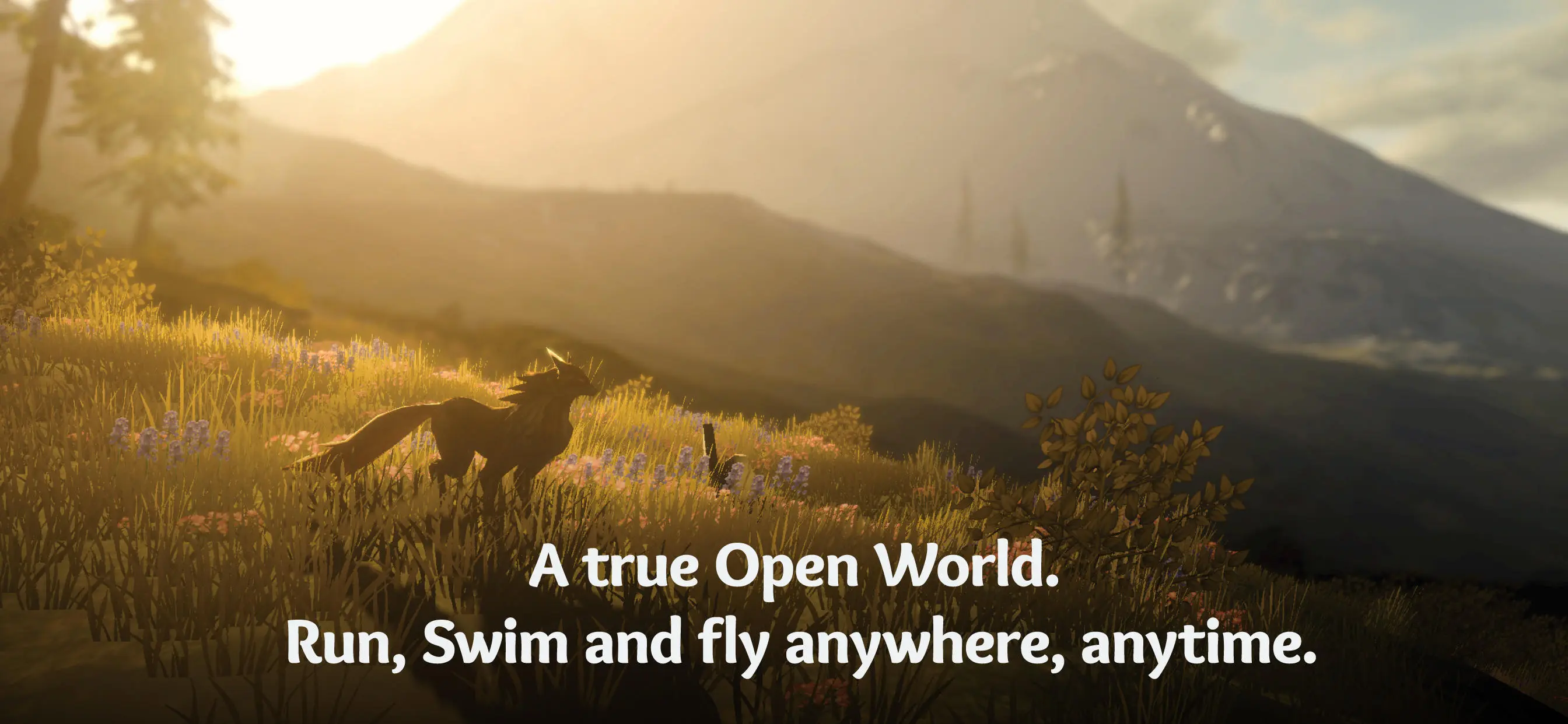 wilderless流浪荒野