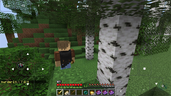 烦人的村民整合包