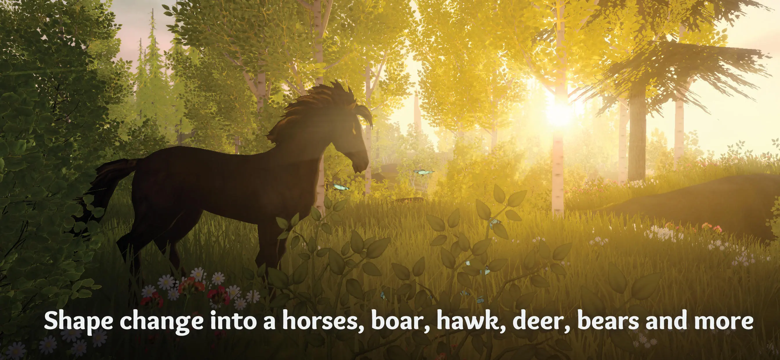 wilderless流浪荒野