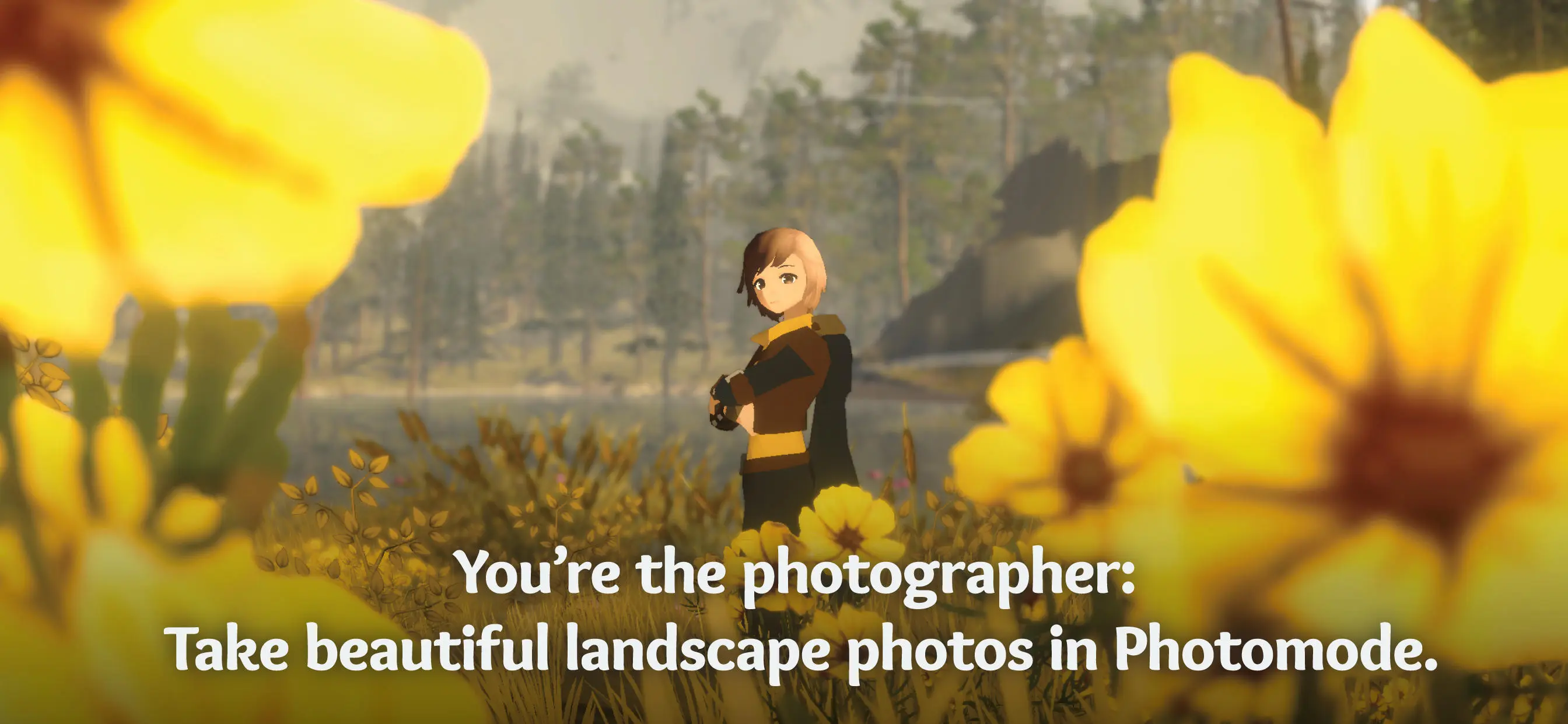 wilderless流浪荒野