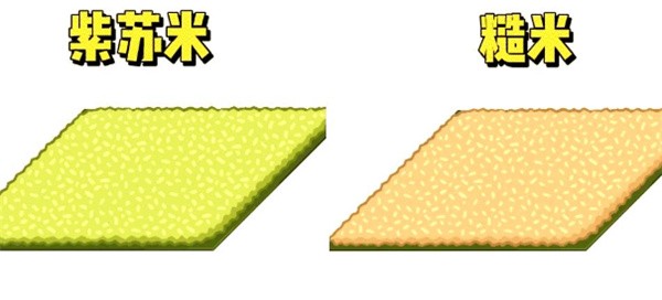 老爹寿司店官方正版