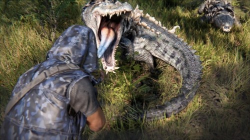 七日世界测试服