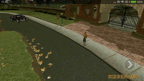 恶霸鲁尼汉化版