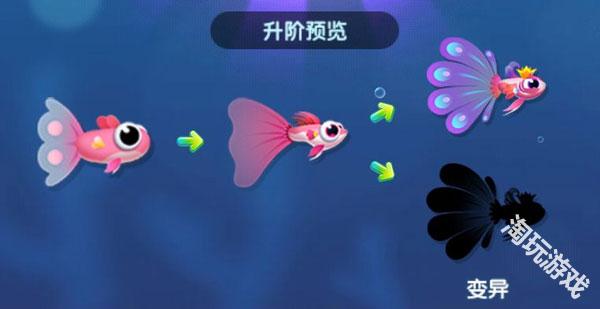 萌鱼泡泡官方正版