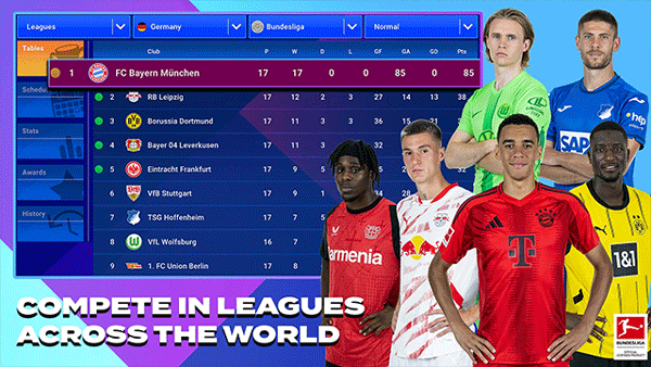 足球经理国际版