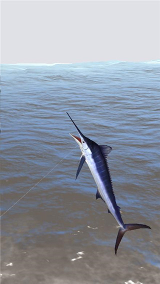 怪鱼猎人中文版