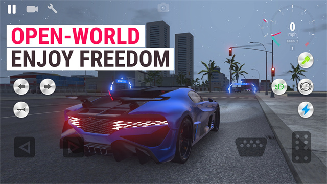 真实驾驶学校汉化版