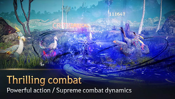 黑色沙漠国际版