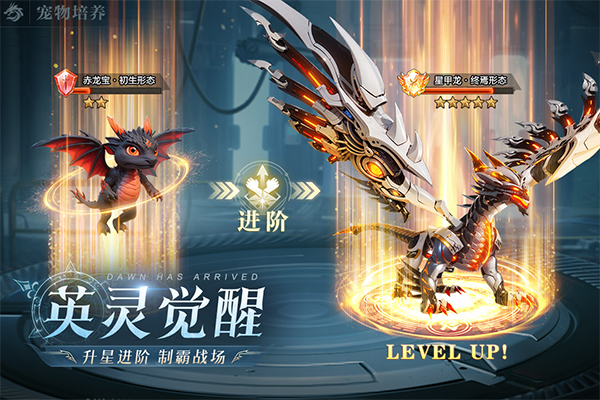 黎明之塔官方版