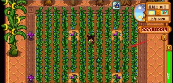 星露谷物语美化版