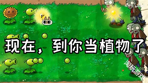 植物大战僵尸繁琐版