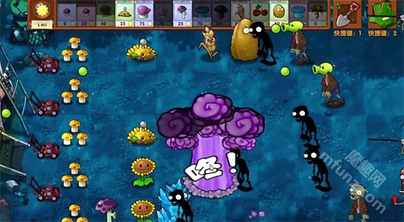 植物大战僵尸融合版2.6