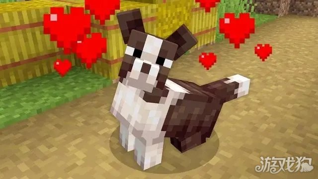 我的世界国际服