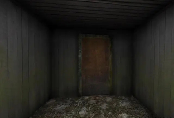 恐怖老奶奶2联机版