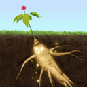 夺笋高手无限金币