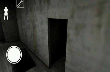 恐怖奶奶双胞胎模组