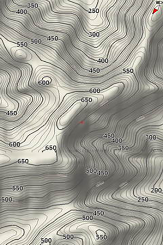 452948448c9470c1a2b219e902d713db.png 乐图app图片2.png