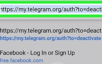 telegraph（安卓中文版聊天下载）