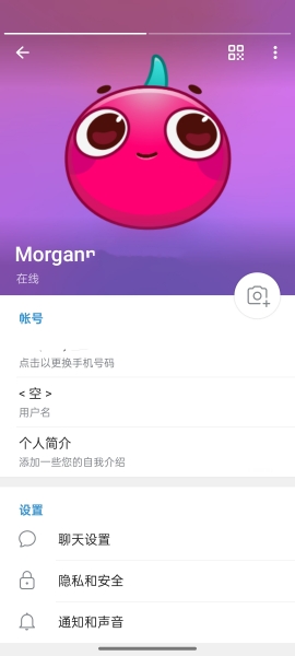 纸飞机APP安卓版