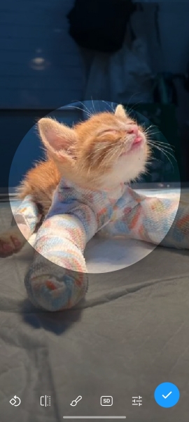 纸飞机APP安卓版