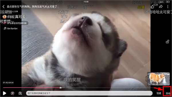 哔哩哔哩漫画手机客户端